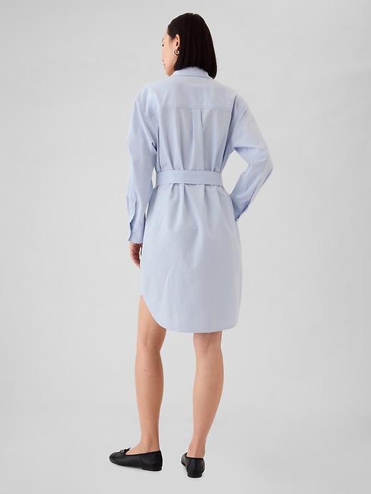 Organic Cotton Oxford Mini Shirtdress Product Image