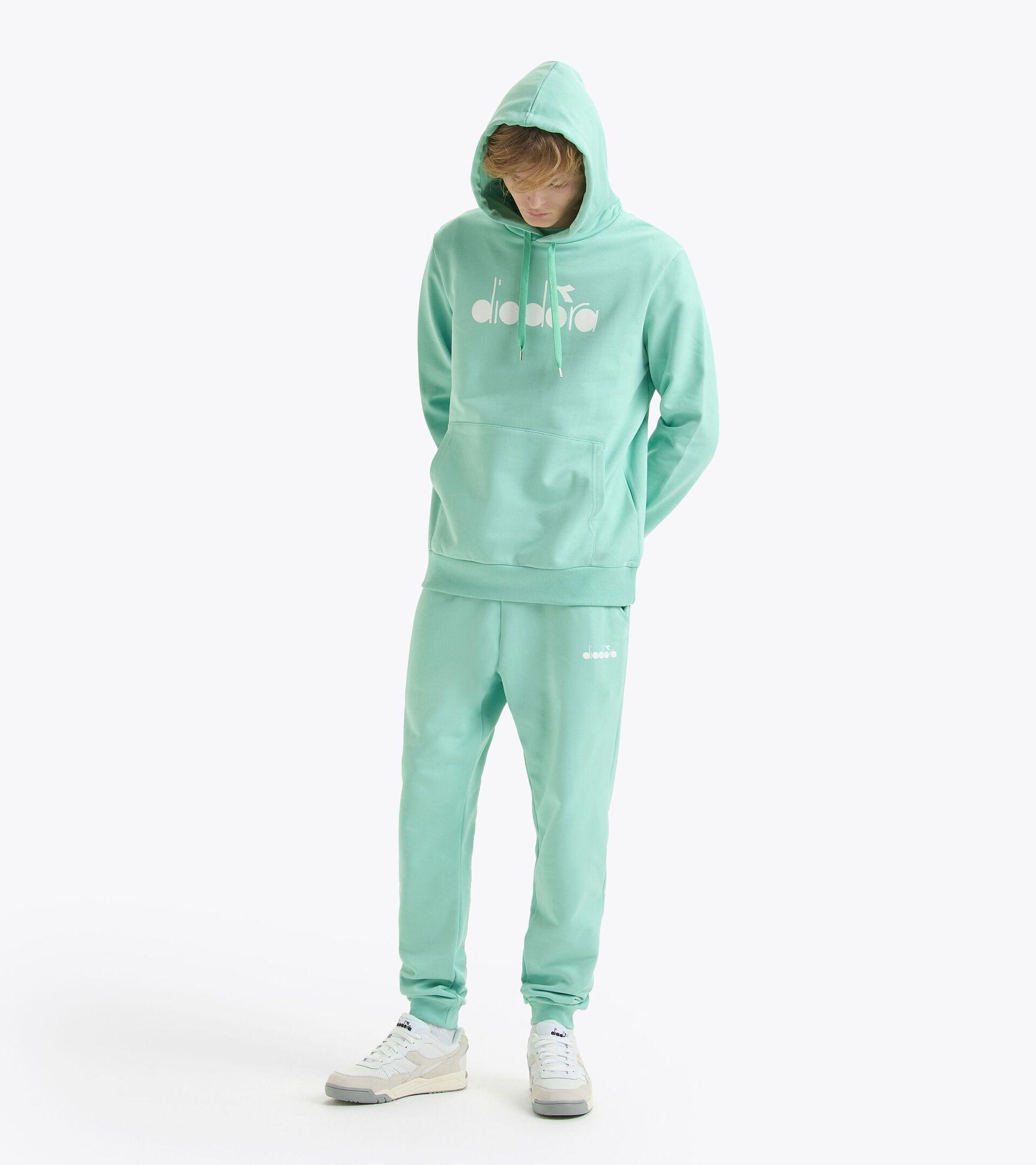 HOODIE LOGO Product Image