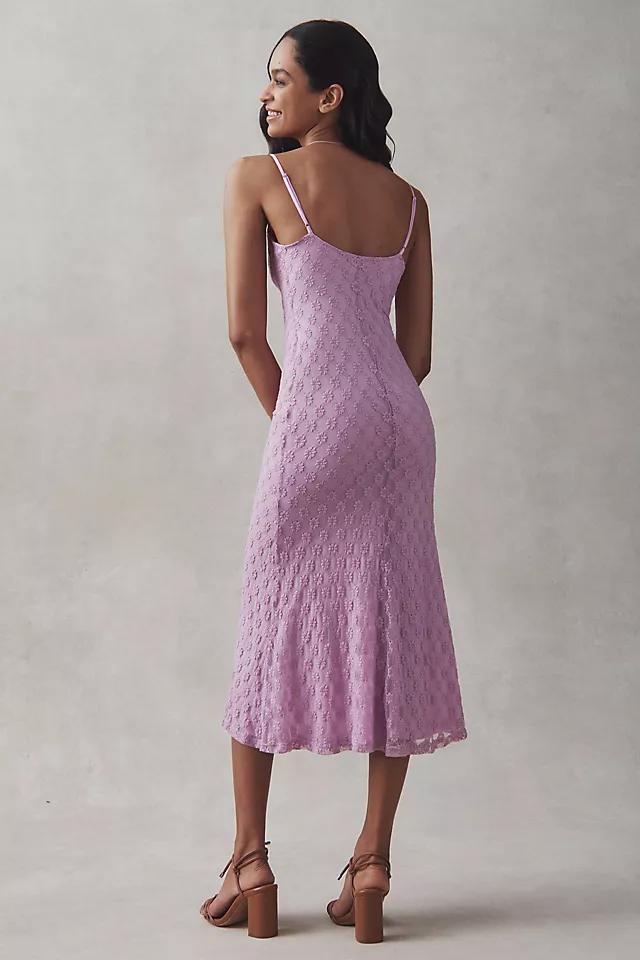 Bardot Adoni Sleeveless Mesh Midi Dress Product Image