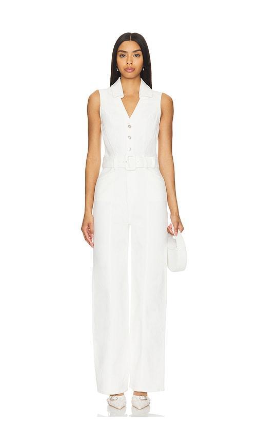 Sasha Jumpsuit Product Image