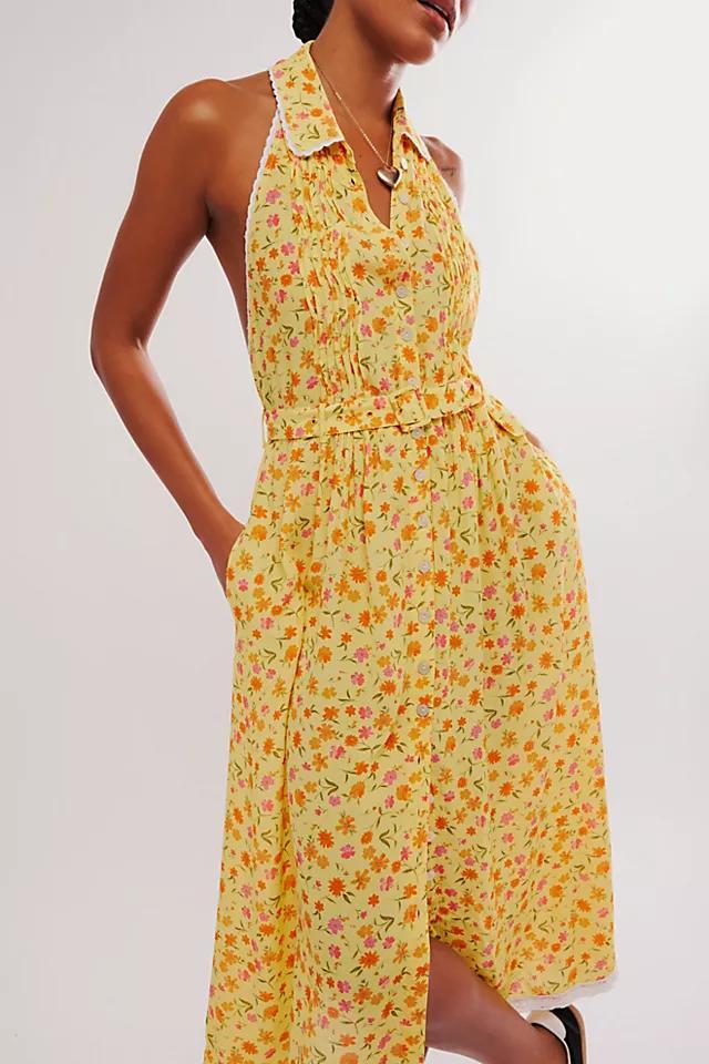 Slice Of Life Midi Dress Product Image