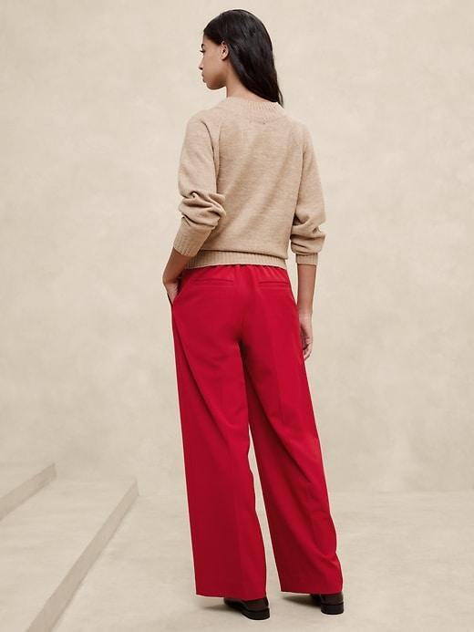 Hayden Wide-Leg Pant Product Image