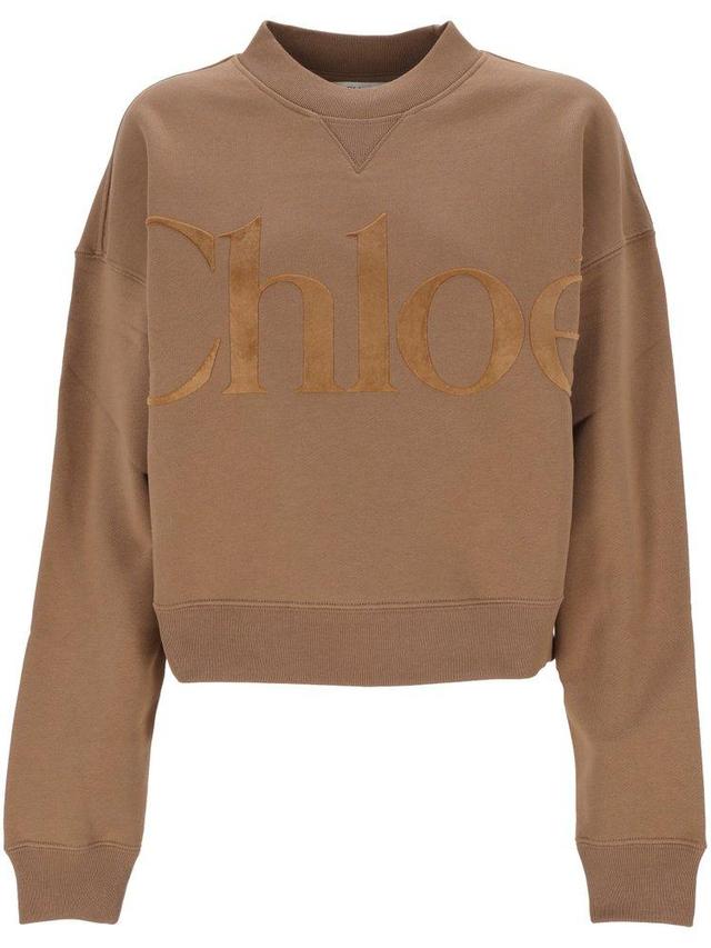 Logo Printed Crewneck Sweatshirt In Brown Product Image