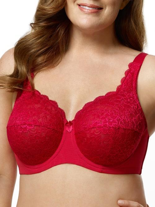 Isabella Lace Full Coverage Bra Product Image