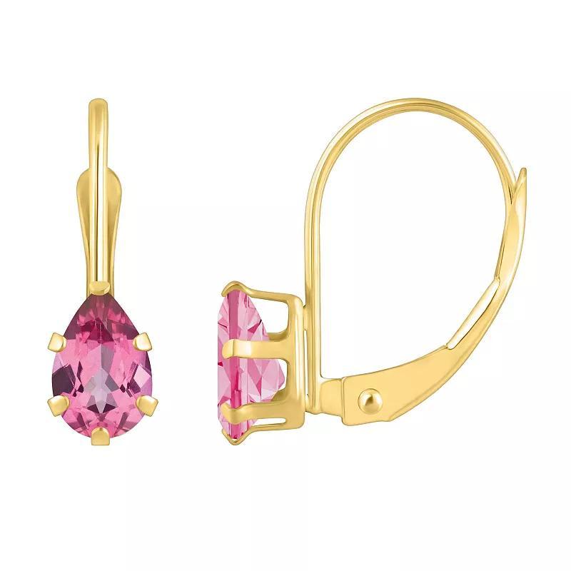 Celebration Gems 10k Gold Pear Shape Pink Topaz Leverback Earrings, Womens Product Image