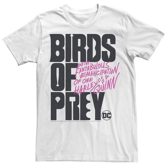 Mens Birds Of Prey Stacked Text Logo Tee, Mens Product Image