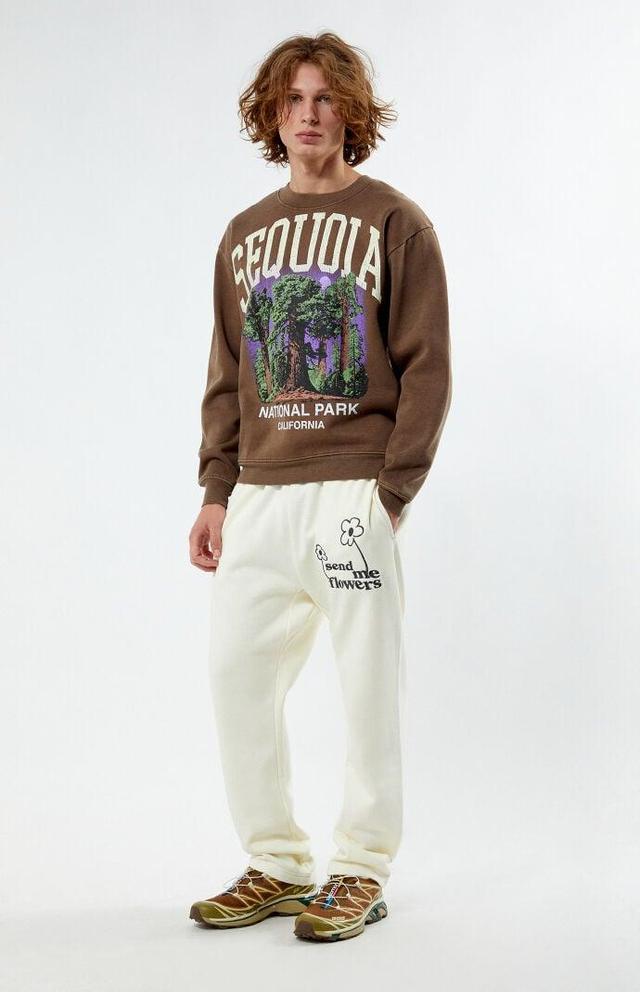 Men's Embroidered Straight Leg Sweatpants Product Image