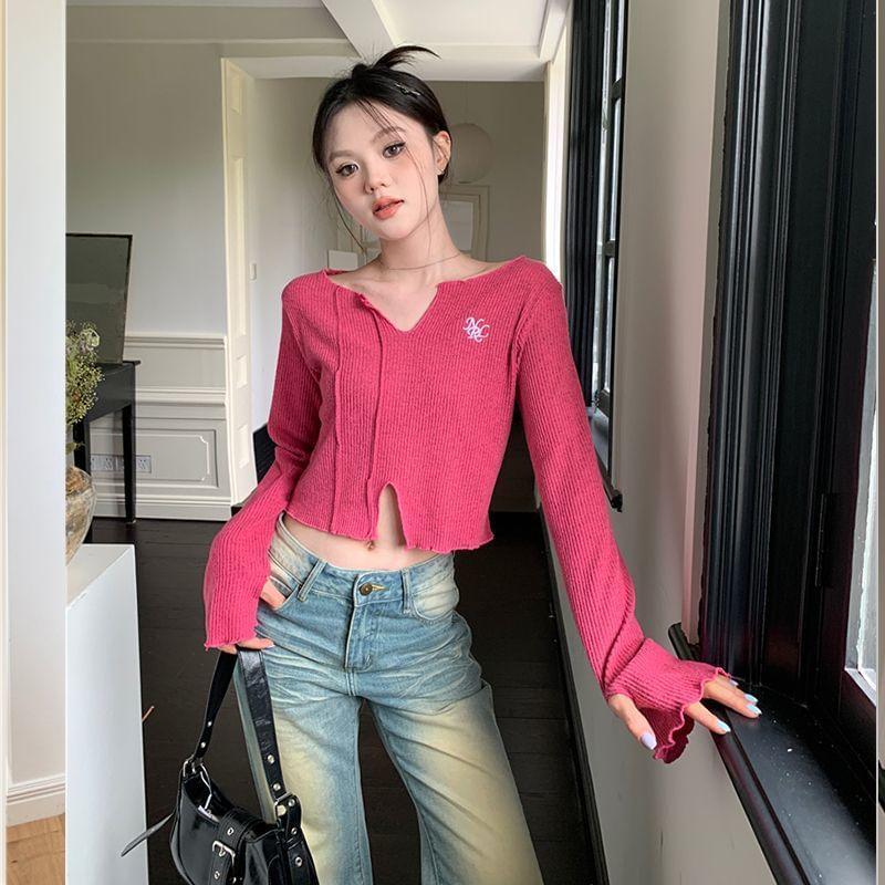 Long-Sleeve V-Neck Embroidered Crop Knit Top Product Image