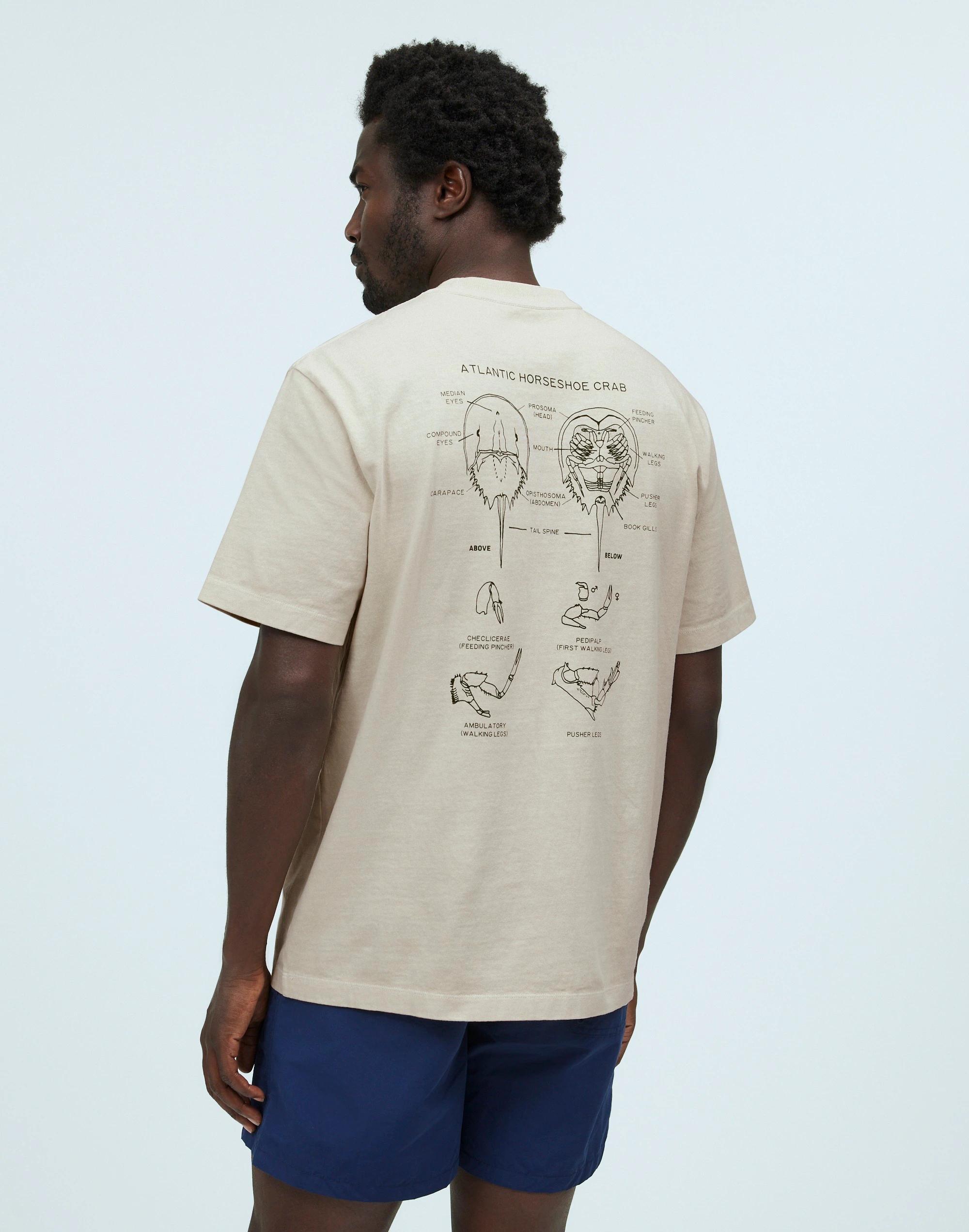 Madewell x William Ellery Convertible Kite Graphic Tee Product Image