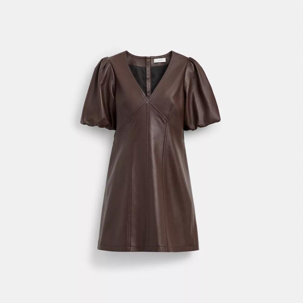 Leather Puff Sleeve Dress Product Image