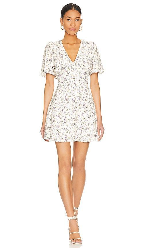 Hailey Mini Dress Product Image