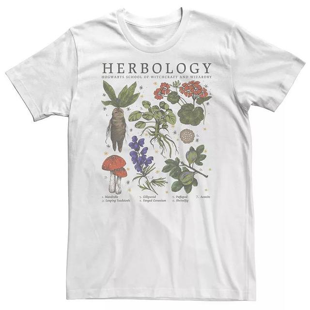 Big & Tall Harry Potter Herbology Plants Tee, Mens Product Image