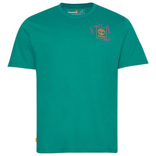 Timberland Mens Crew T-Shirt - Teal/Pink Product Image