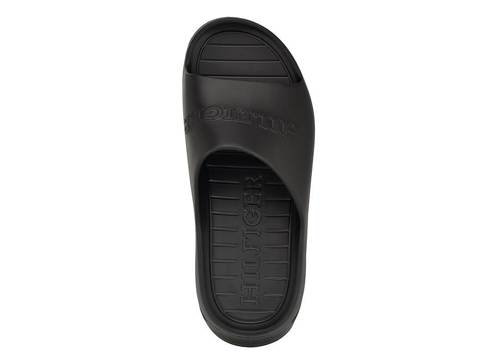 Tommy Hilfiger Gager Men's Sandals Product Image