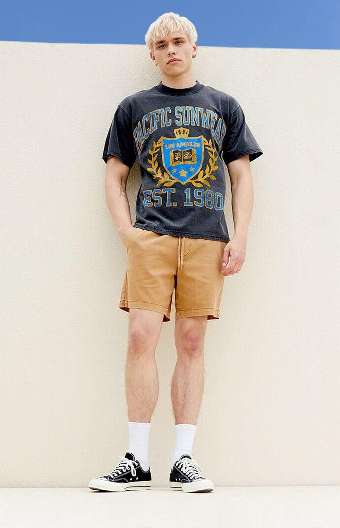 PacSun Twill Volley Shortsedium Product Image