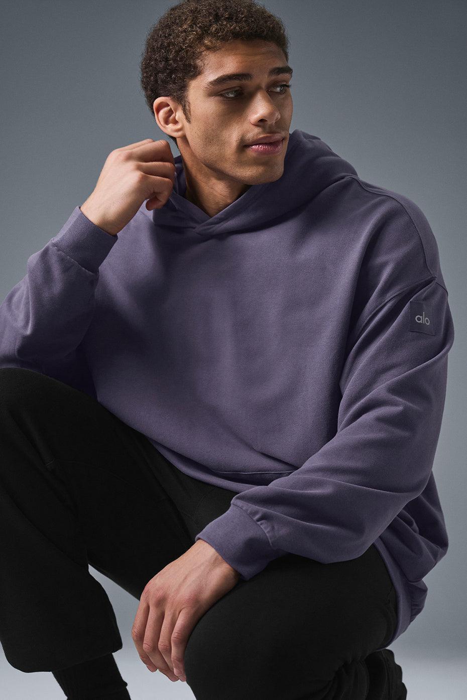 Double Take Hoodie - Italian Plum Male Product Image