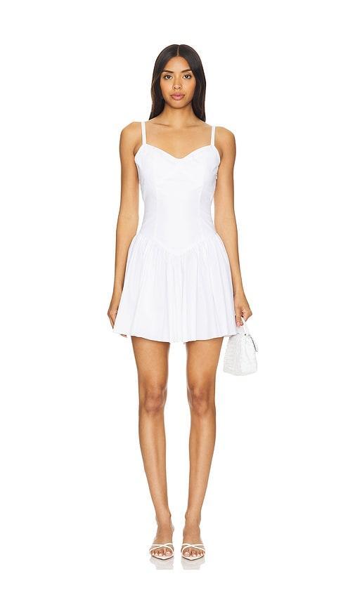 Orella Mini Dress Product Image