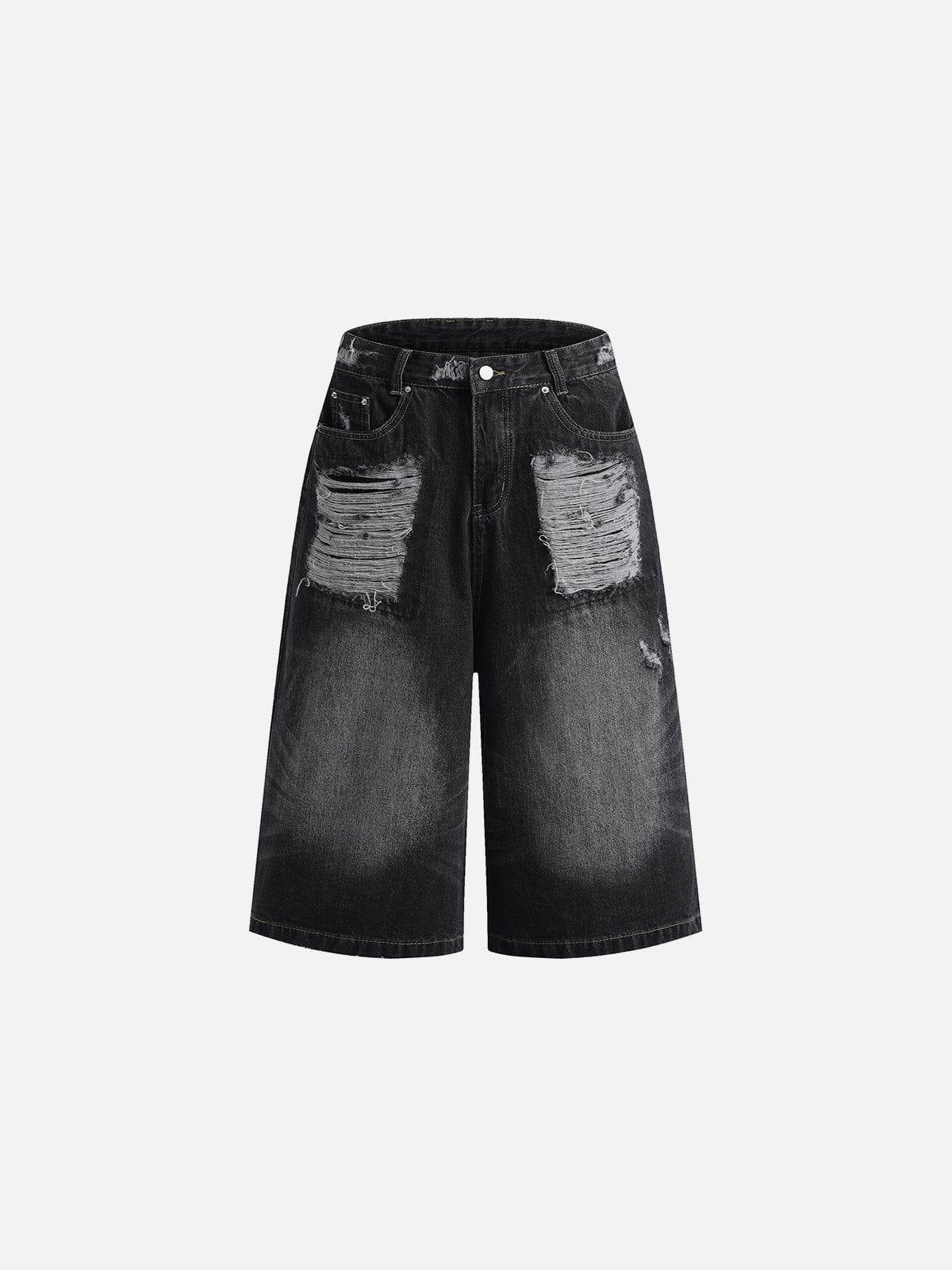 Aelfric Eden Distressed Washed Longlie Jorts product image