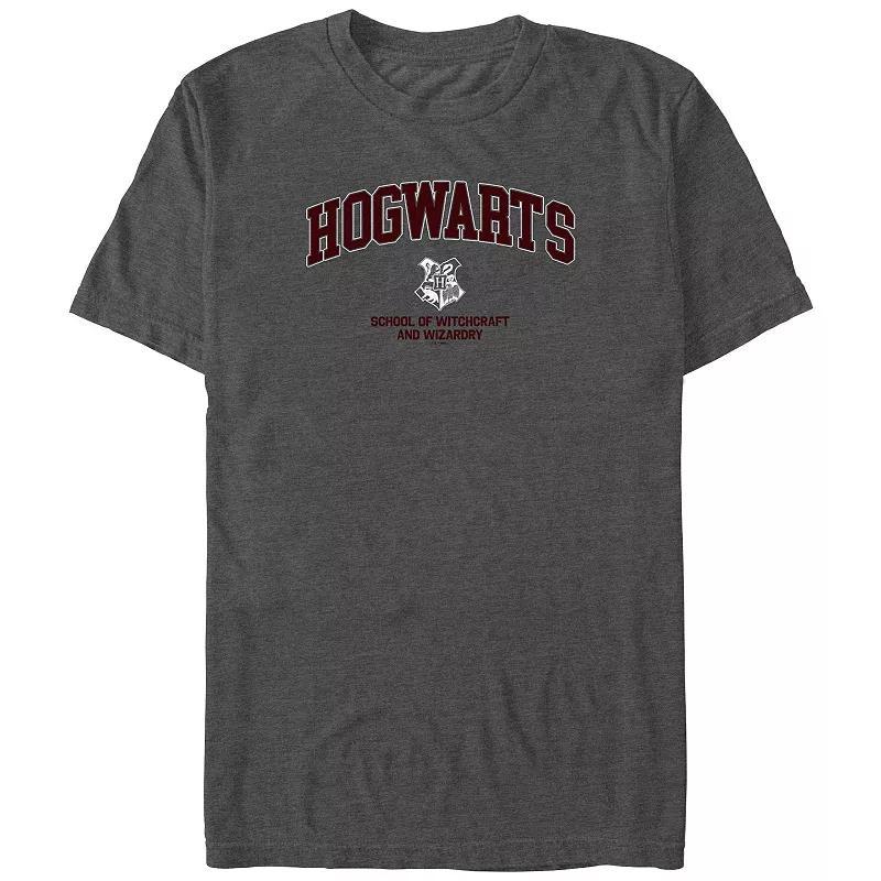 Big & Tall Harry Potter Hogwarts School Of Witchcraft And Wizardry Graphic Tee, Mens Grey Heather Product Image