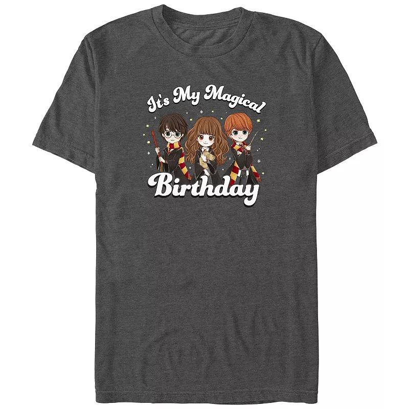 Mens Harry Potter Its My Magical Birthday Graphic Tee Product Image