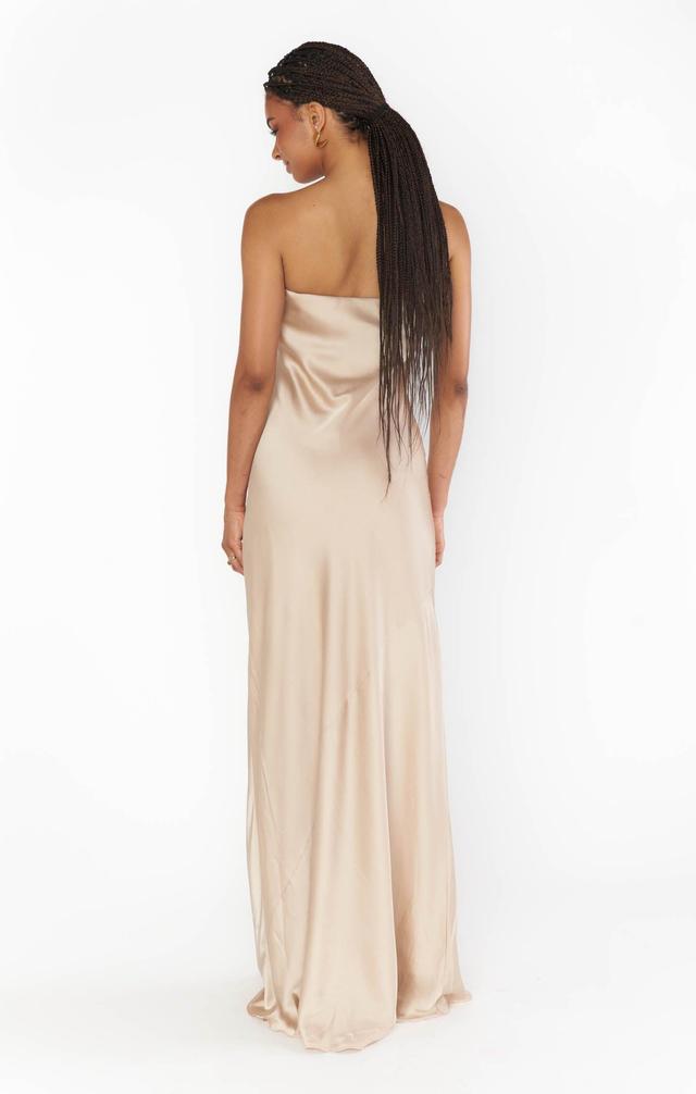 Taylor Tube Maxi Dress ~ Champagne Luxe Satin Product Image