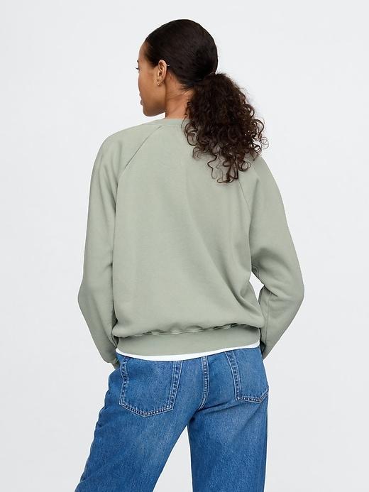 Vintage Soft Raglan Sweatshirt Product Image