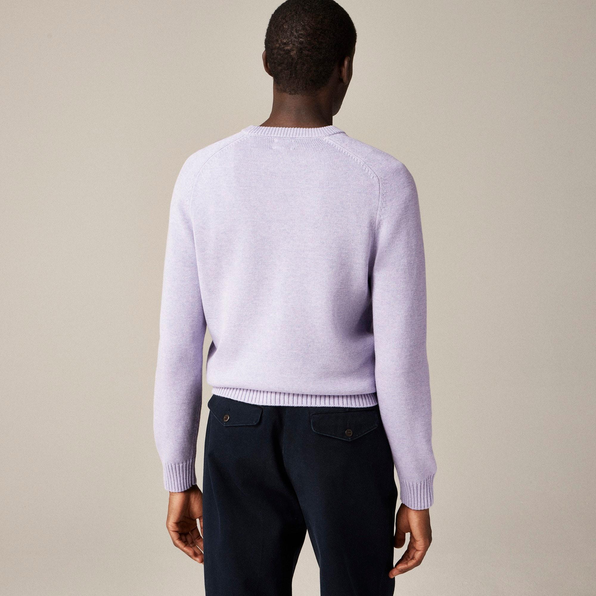 Heritage cotton crewneck sweater Product Image