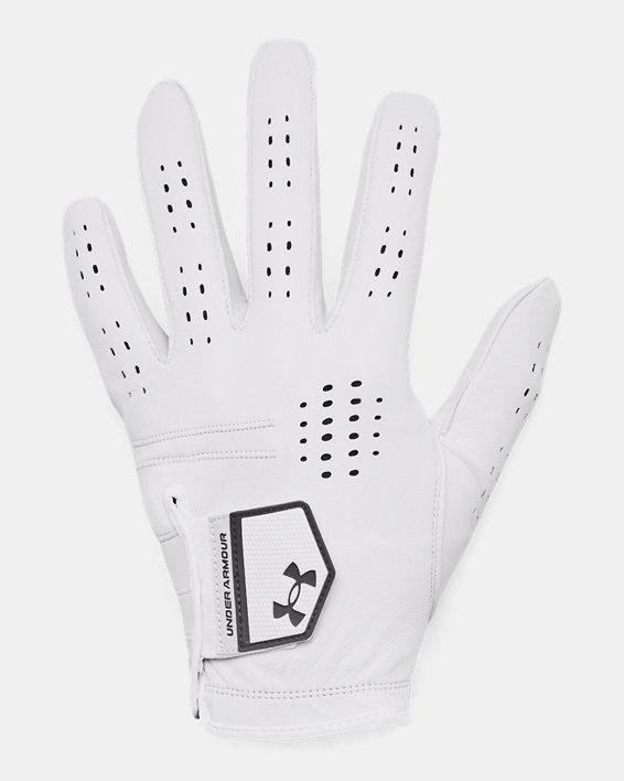 Men's UA Drive Tour Glove Product Image