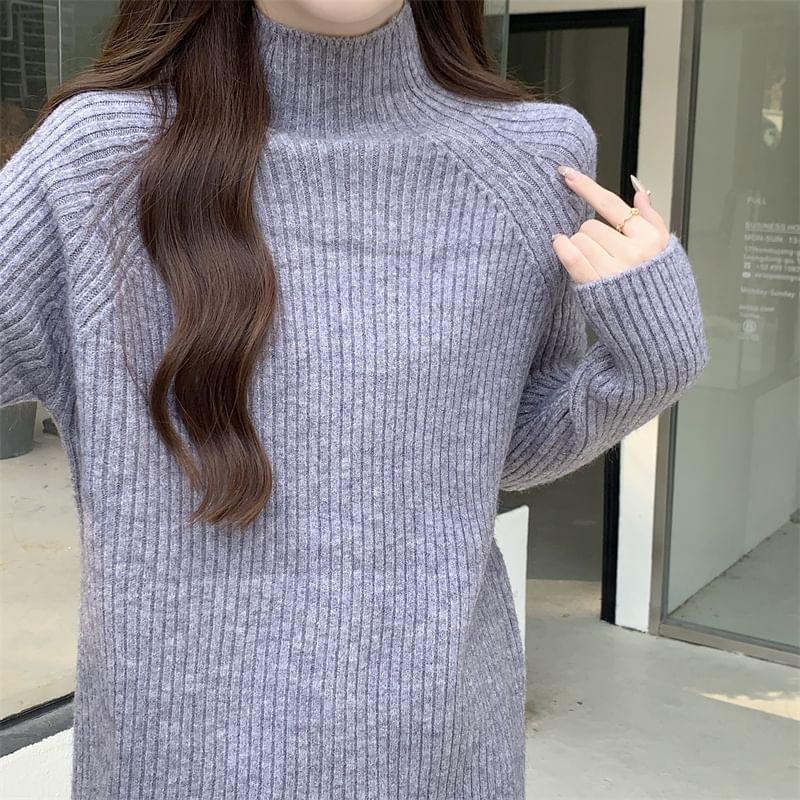 Long-Sleeve Turtleneck Ribbed Knit Top Product Image