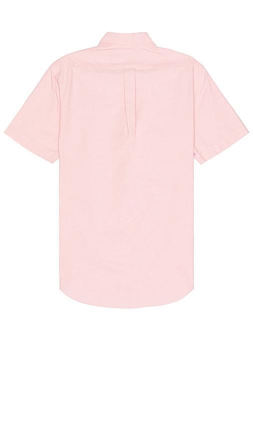 Polo Ralph Lauren Oxford Short Sleeve Shirt in Pink - Pink. Size S (also in M, L, XL/1X). Product Image