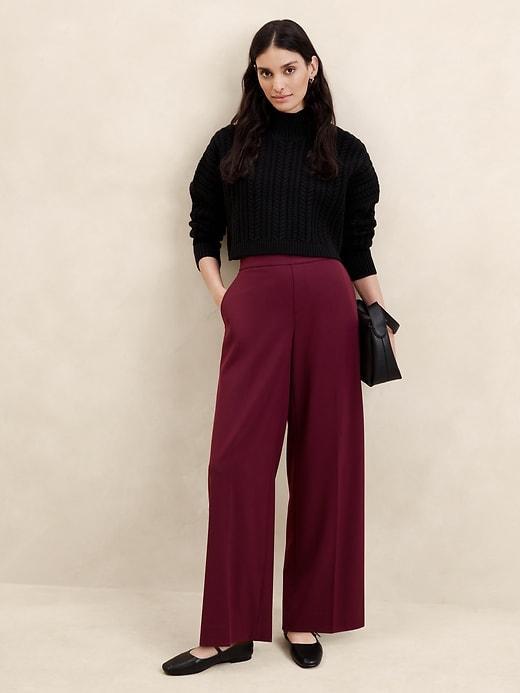 Hayden Wide-Leg Pant Product Image