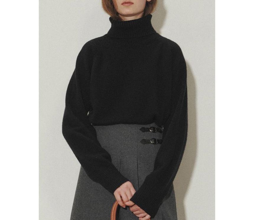 Turtleneck Plain Sweater Product Image