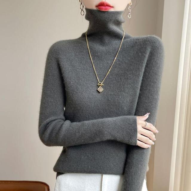 Turtleneck Plain Sweater Product Image