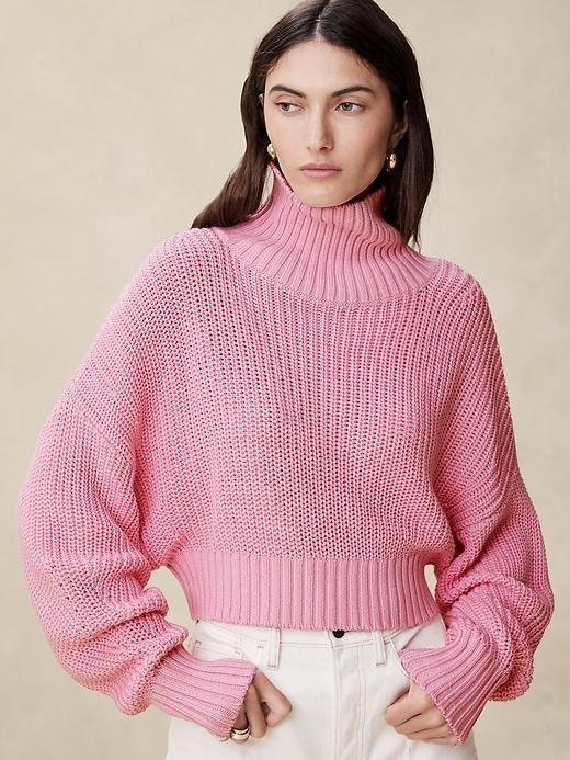 Janie Cropped Sweater Product Image