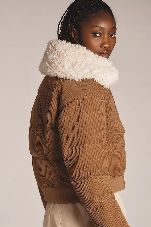 Save The Duck Reily Corduroy Sherpa Jacket Product Image