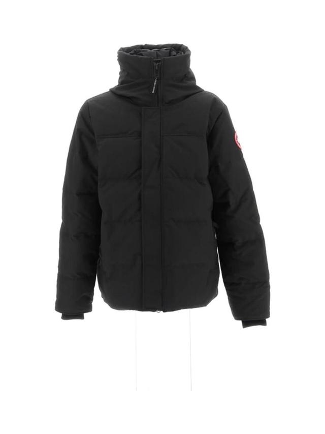 CANADA GOOSE Hooded Puffer Jacket In Black Product Image