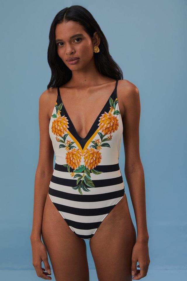 Biriba One-Piece Swimsuit Product Image