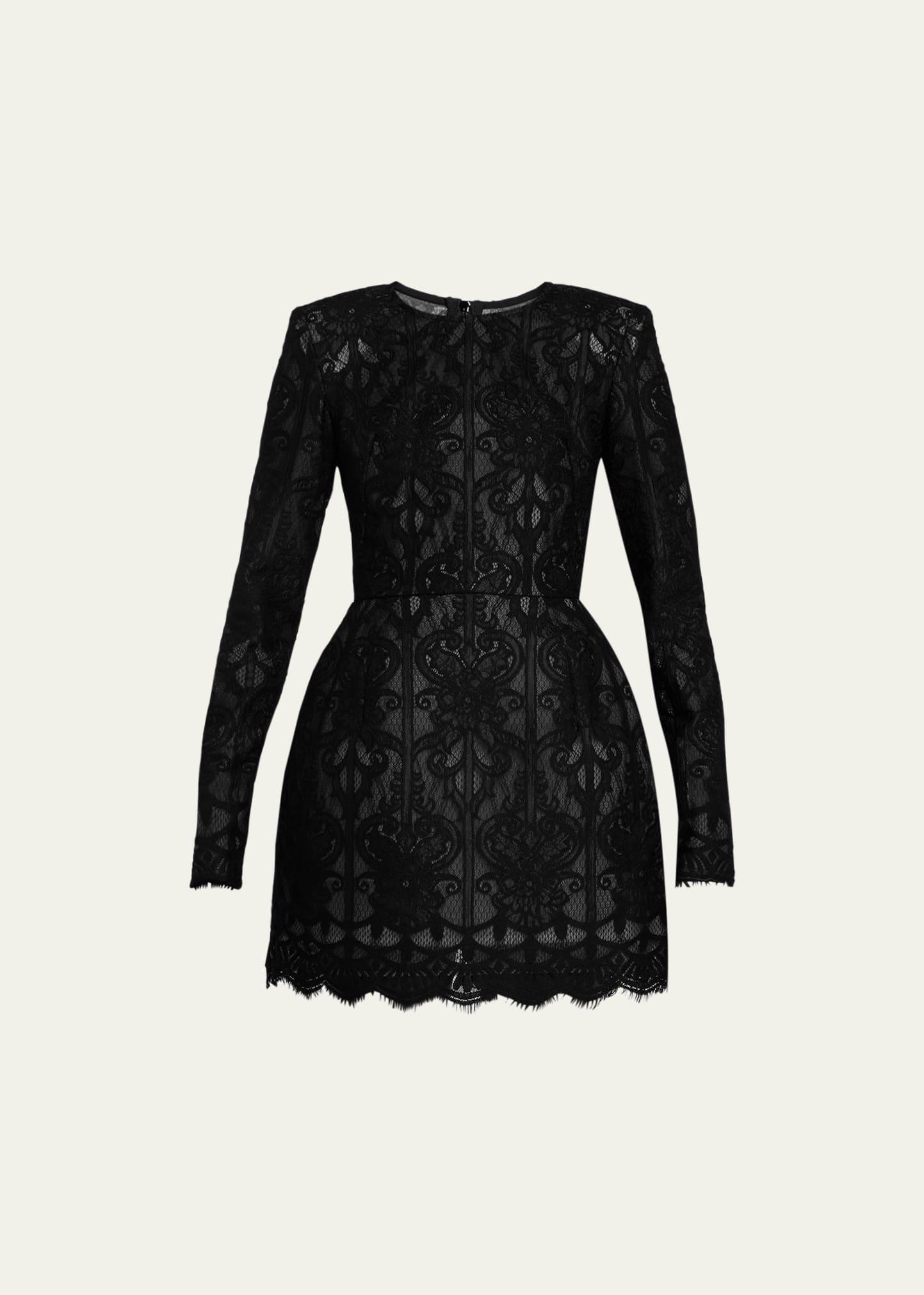 Casey Long-Sleeve Fit-&-Flare Lace Mini Dress Product Image