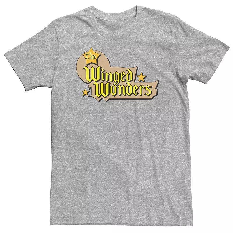 Big & Tall DC Comics The Winged Wonders Text Logo Tee, Mens Athletic Grey Product Image