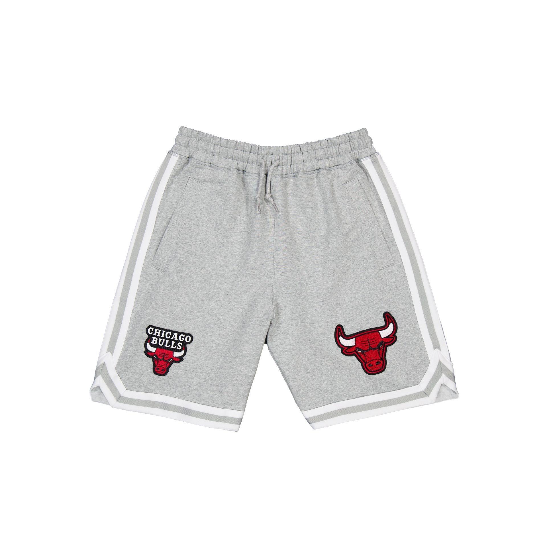 Brooklyn Nets Gray Logo Select Shorts Male Product Image