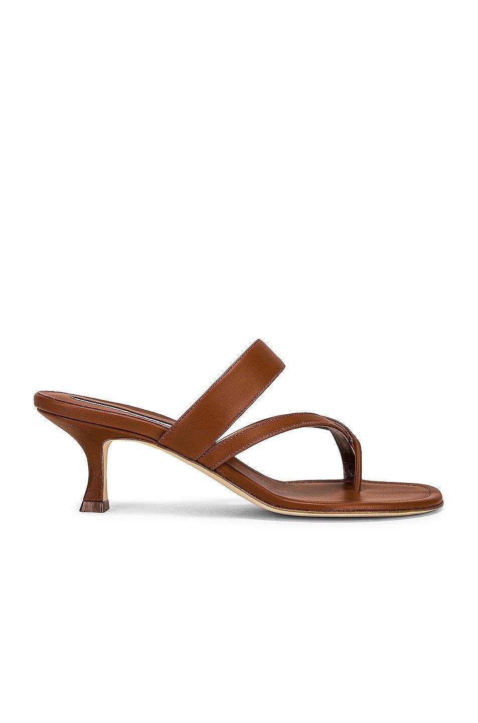 Manolo Blahnik Susa 50 Leather Sandal in Brown - Brown. Size 35.5 (also in 36.5, 38.5, 39, 39.5, 41). Product Image