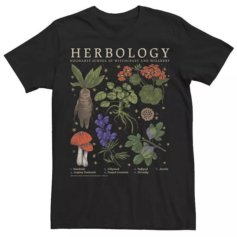 Mens Harry Potter Herbology Herb Refernce Grid Tee Grey Product Image