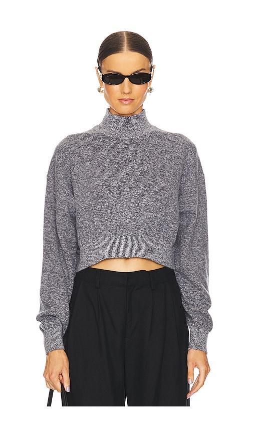 Long Sleeve Turtleneck Pullover Product Image