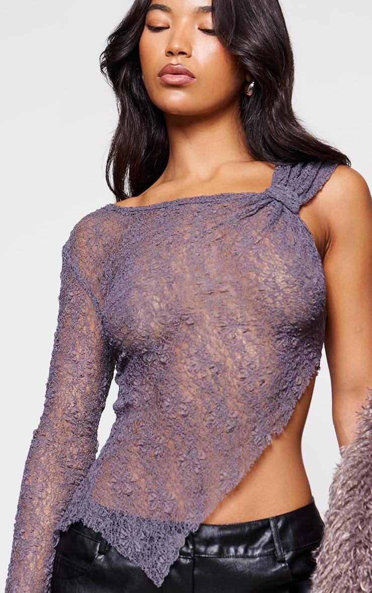 Grey Textured Sheer Asymmetric Hem Long Top Product Image