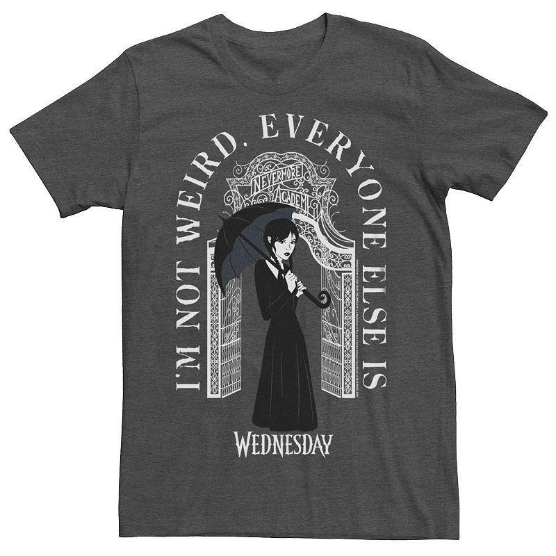 Big & Tall Wednesday Im Not Weird Tee, Mens Grey Heather Product Image