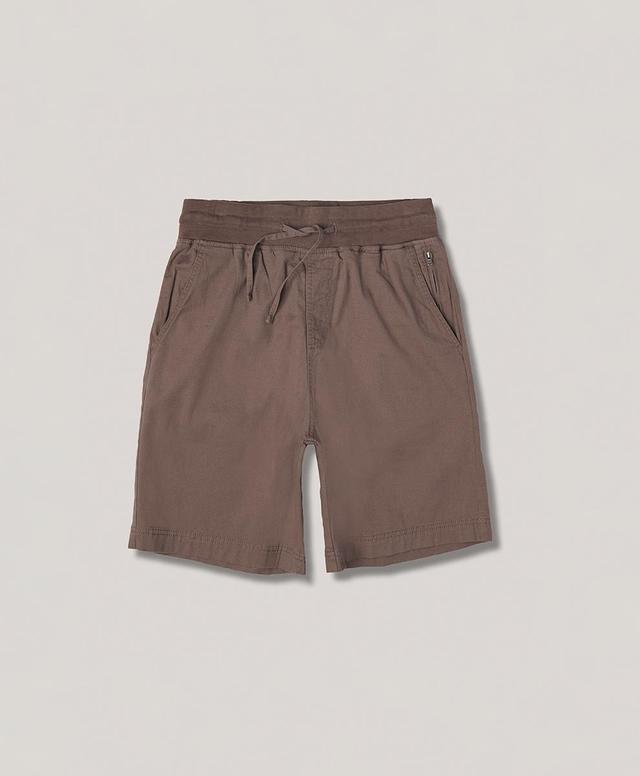 Mens Deep Taupe The Boulevard Short S Product Image