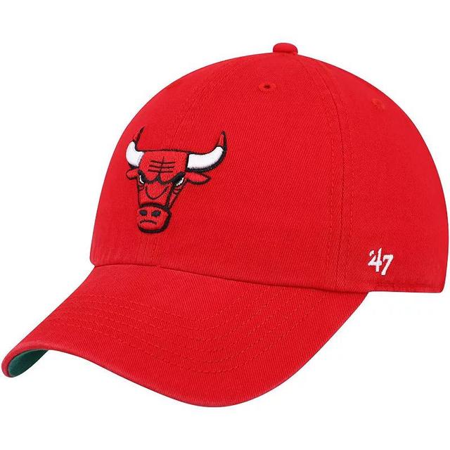 Mens 47 Chicago Bulls Franchise Fitted Hat Product Image