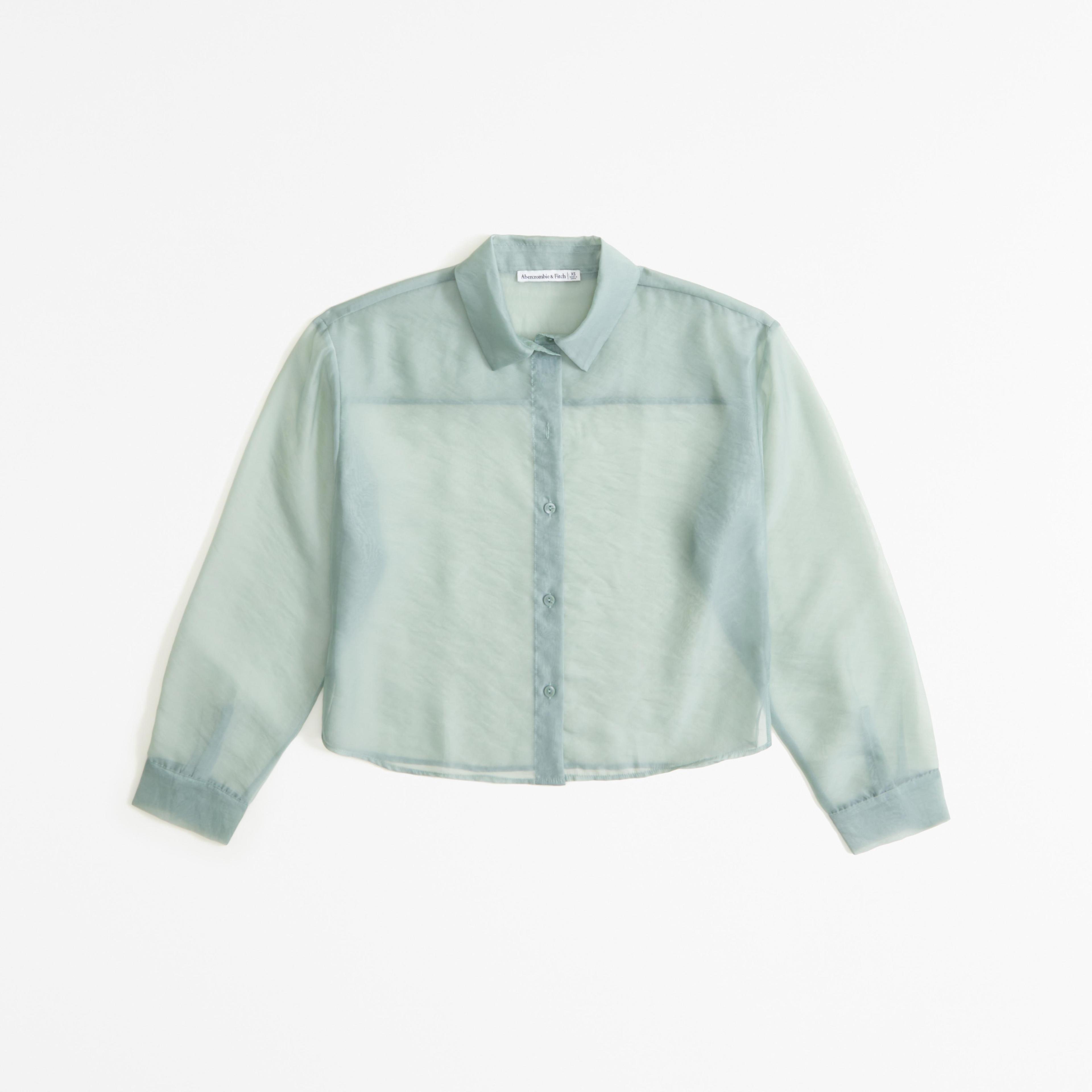 Long-Sleeve Sheer Shirt Product Image