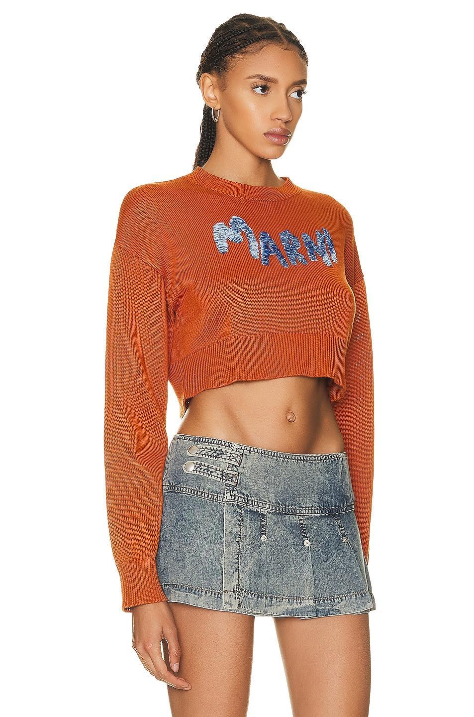 Marni Logo Sweater in Orange Product Image