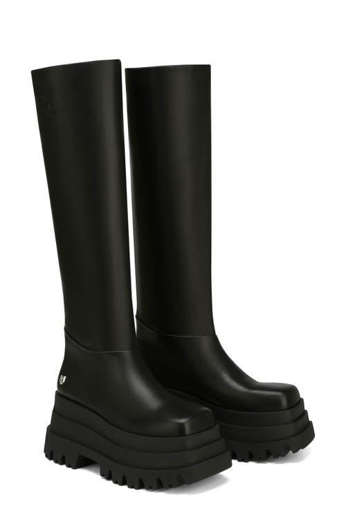 NAKED WOLFE Sasha Platform Tall Boot Product Image